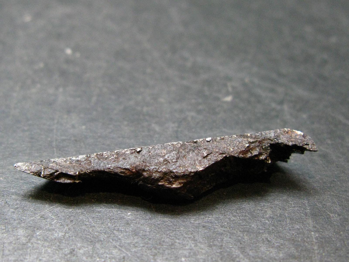 Large Gibeon Meteorite From Namibia - 1.5" - 4.15 Grams