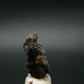 Large Brookite Crystal From Arkansas - 1.55 Grams - 14 mm