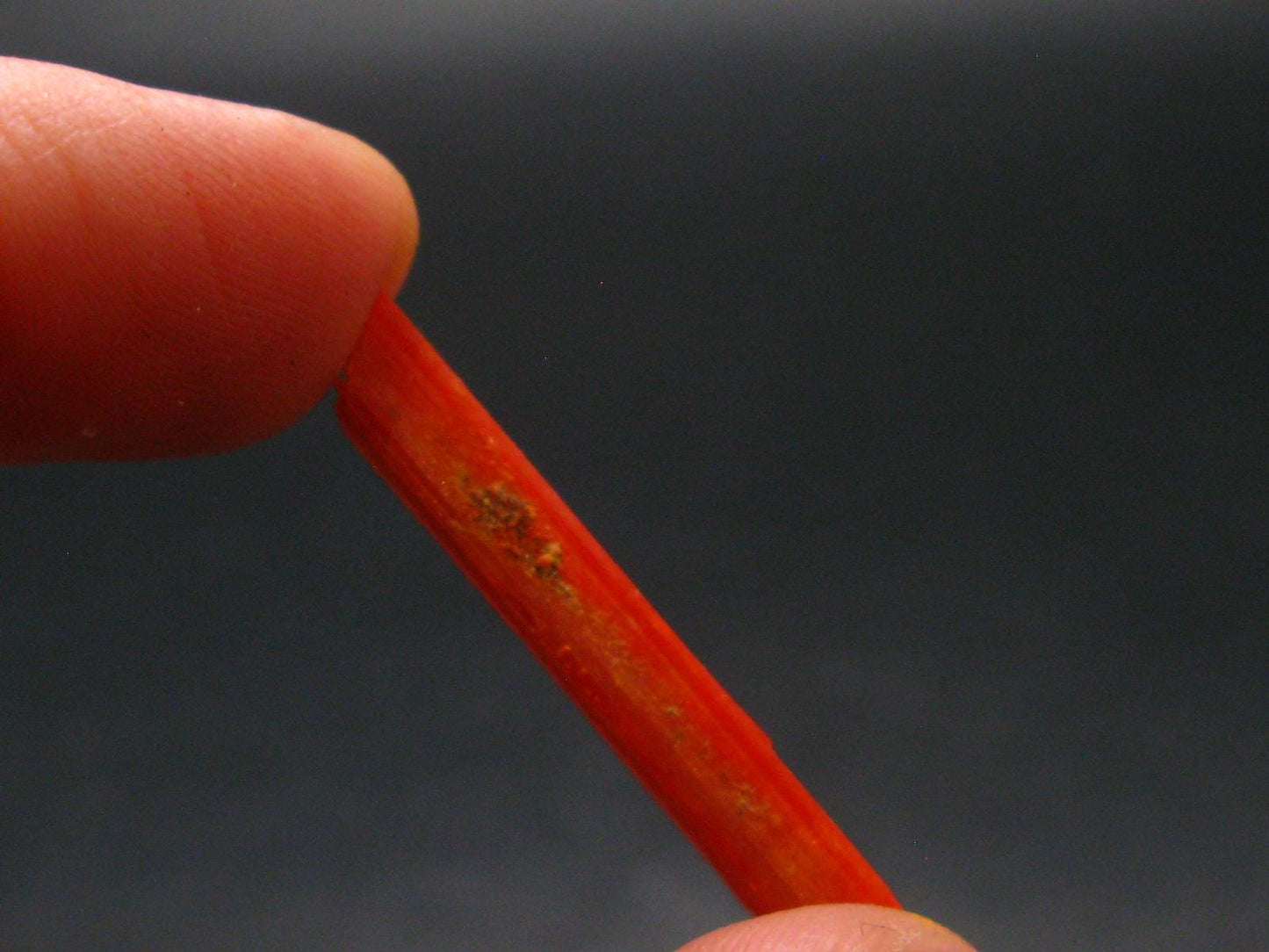 Large Orange Crocoite Crystal From Australia - 3.3" - 9.50 Carats