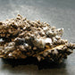 Brookite On Quartz Cluster From Arkansas - 50.17 Grams - 2.3"