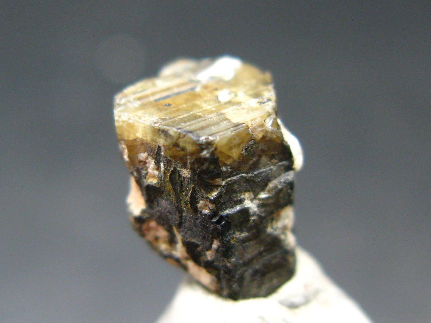 Stibio Tantalite Crystal From Brazil - 0.4" - 9.85 Carats