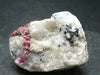 Rare Red Eudialyte from Quebec, Canada - 1.7" - 61.75 Grams