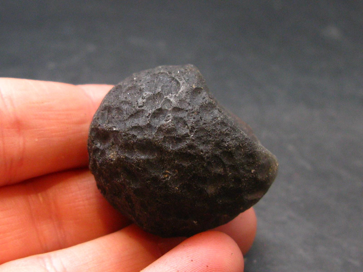 Colombianite Pseudotektite from Colombia - 25.60 Grams - 1.2"