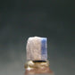 Fine Rare Carletonite Crystal From Mt. St. Hilaire Canada - 0.3" - 0.32 Grams