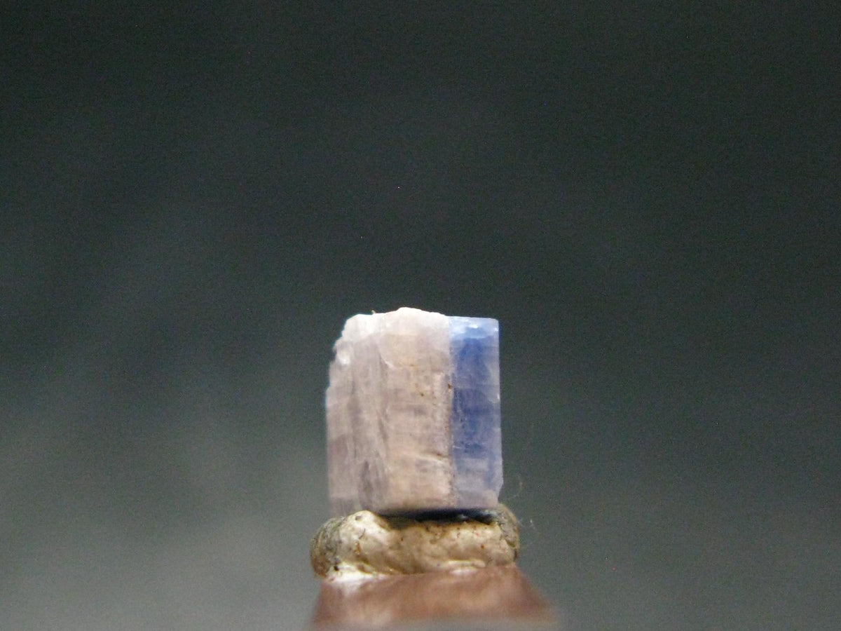 Fine Rare Carletonite Crystal From Mt. St. Hilaire Canada - 0.3" - 0.32 Grams