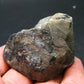 Phenakite Phenacite Crystal From Brazil - 2.4" - 129 Grams