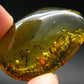 Insects in Amber Piece From Baltic Sea - 6.46 Grams - 1.7"