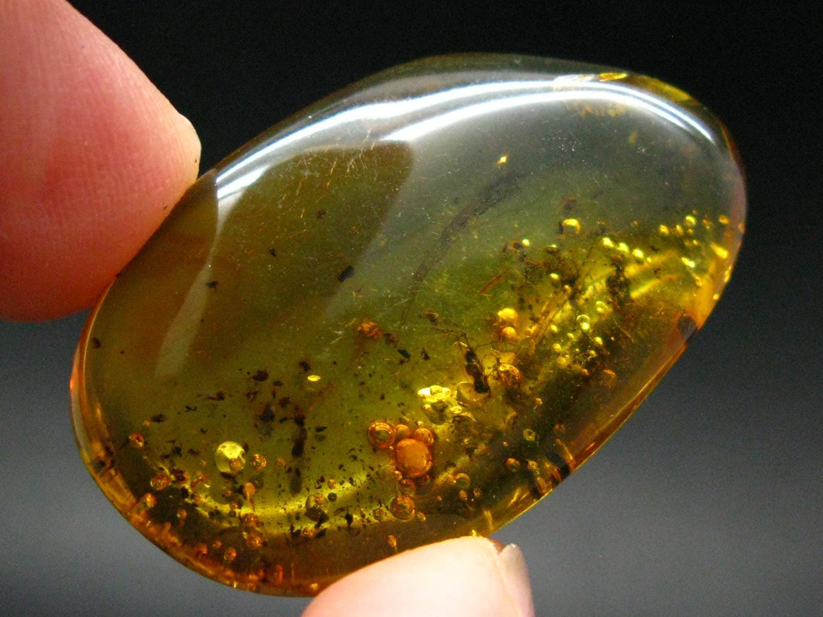 Insects in Amber Piece From Baltic Sea - 6.46 Grams - 1.7"