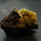 Nice Large Yellow Mimetite Cluster from Mexico - 1.6"