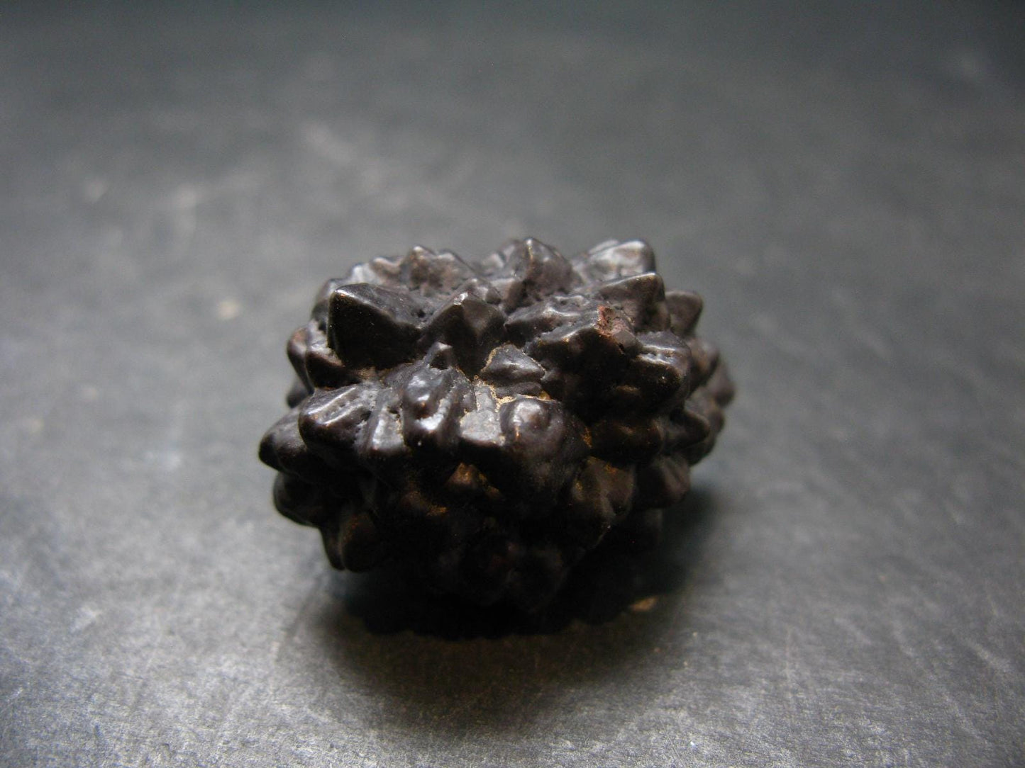 Very rare Z-Stone (Limonite after Marcasite) from Sahara Dessert, Egypt - 1.2" - 22.73 Grams