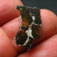 Large Sericho Meteorite Pallasite Olivine Slice From Kenya - 0.8" - 1.27 Grams