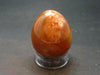 Carnelian Agate Egg From Madagascar - 1.8"