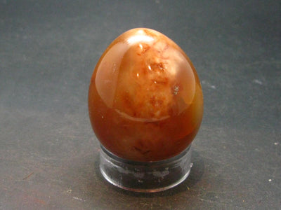 Carnelian Agate Egg From Madagascar - 1.8"