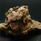 Rare Herderite on Feldspar Cluster from Brazil - 144.0 Grams - 3.6"