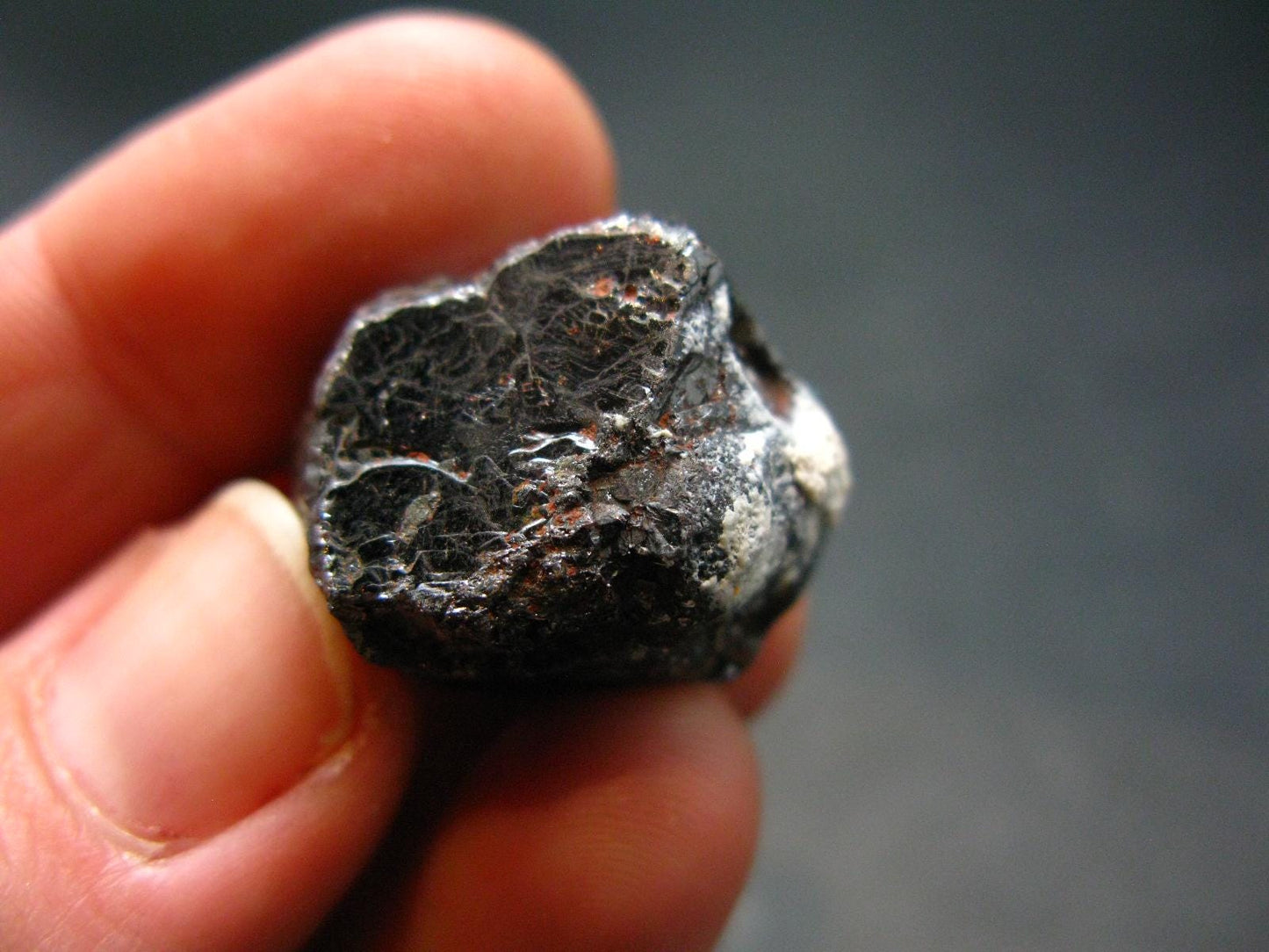 Large Rutile Crystal from Mozambique - 0.8" - 13.46 Grams