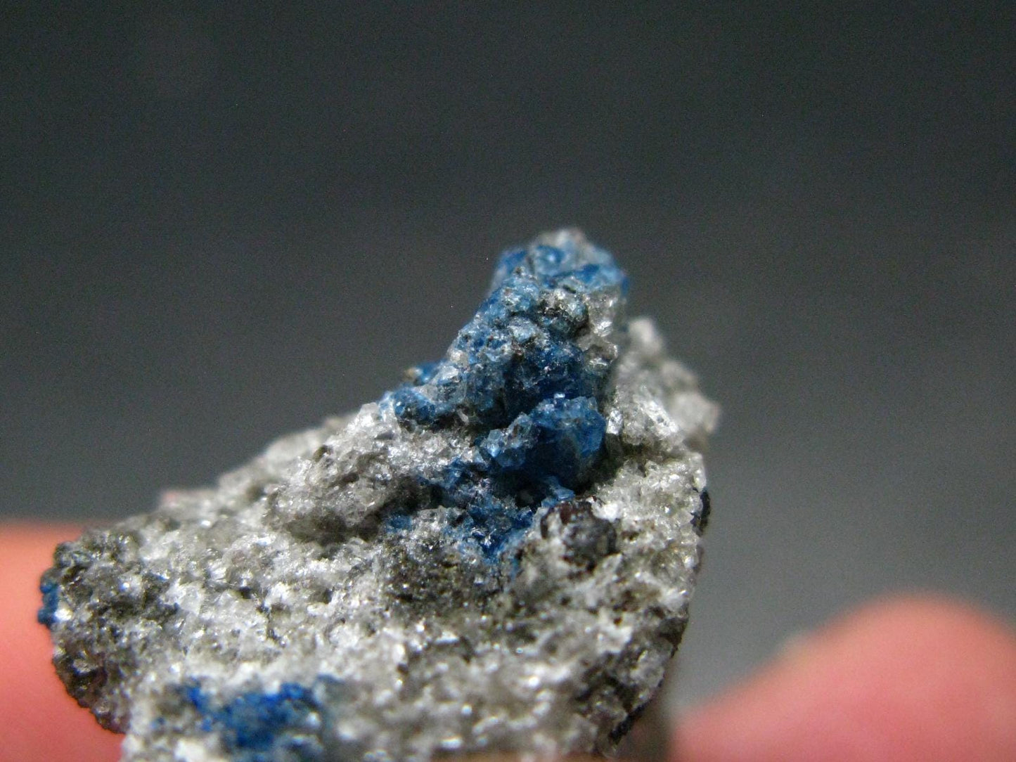 Hauyne Cluster From Germany - 1.0" - 5.70 Grams