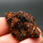 Rare Orange Crocoite Cluster From Australia - 1.4"- 11.53 Grams