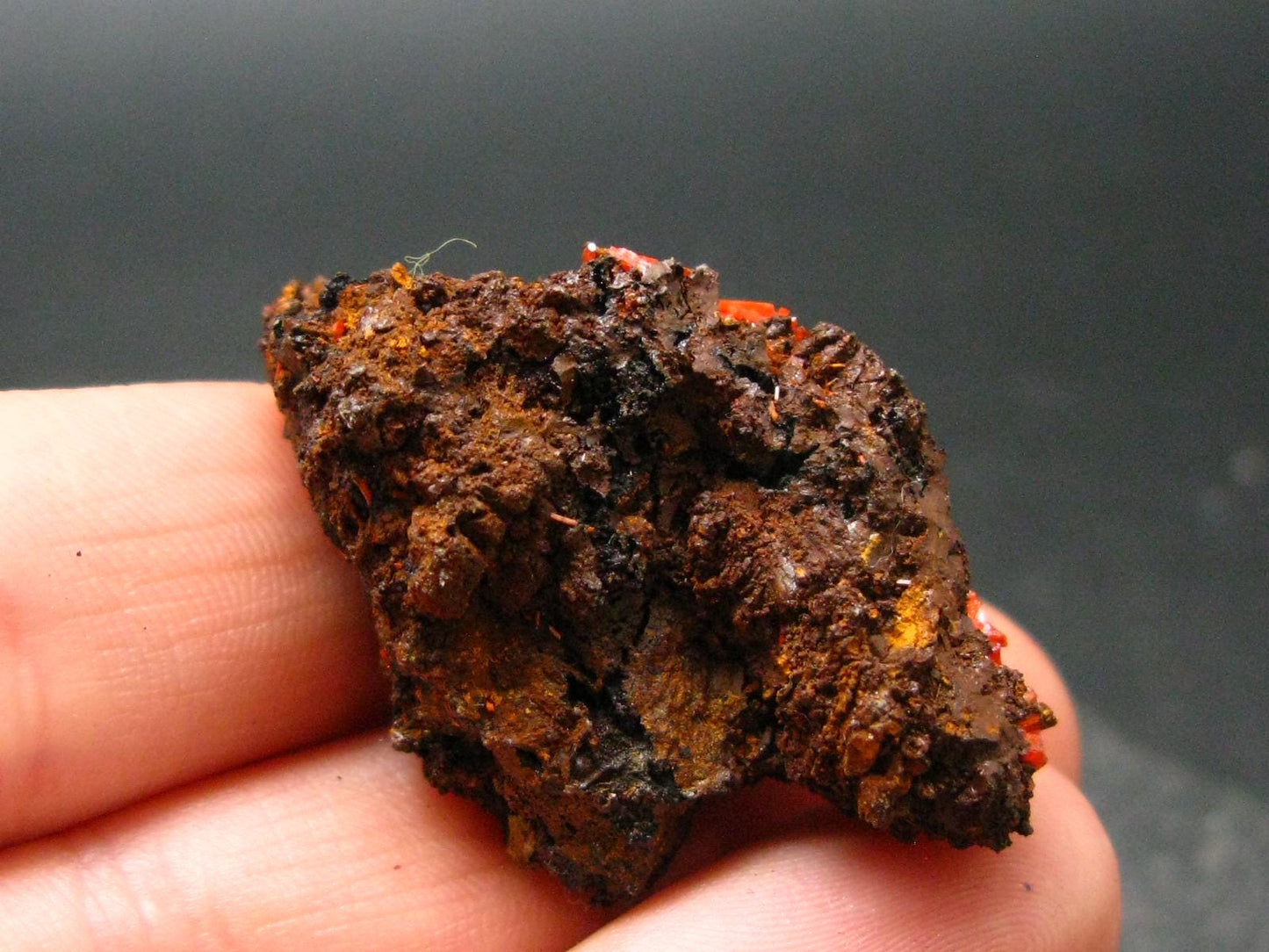 Rare Orange Crocoite Cluster From Australia - 1.4"- 11.53 Grams