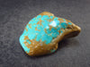 Genuine Tumbled Turquoise from Arizona, USA - 1.2" - 10.6 Grams