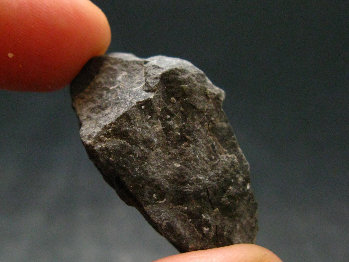Rare Shammanite Shamanite Master Shamanite Raw Piece From USA - 1.3" - 13.87 Grams