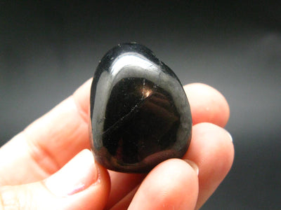 Elite Shungite Tumbled Piece from Russia - 1.2" - 17.75 Grams