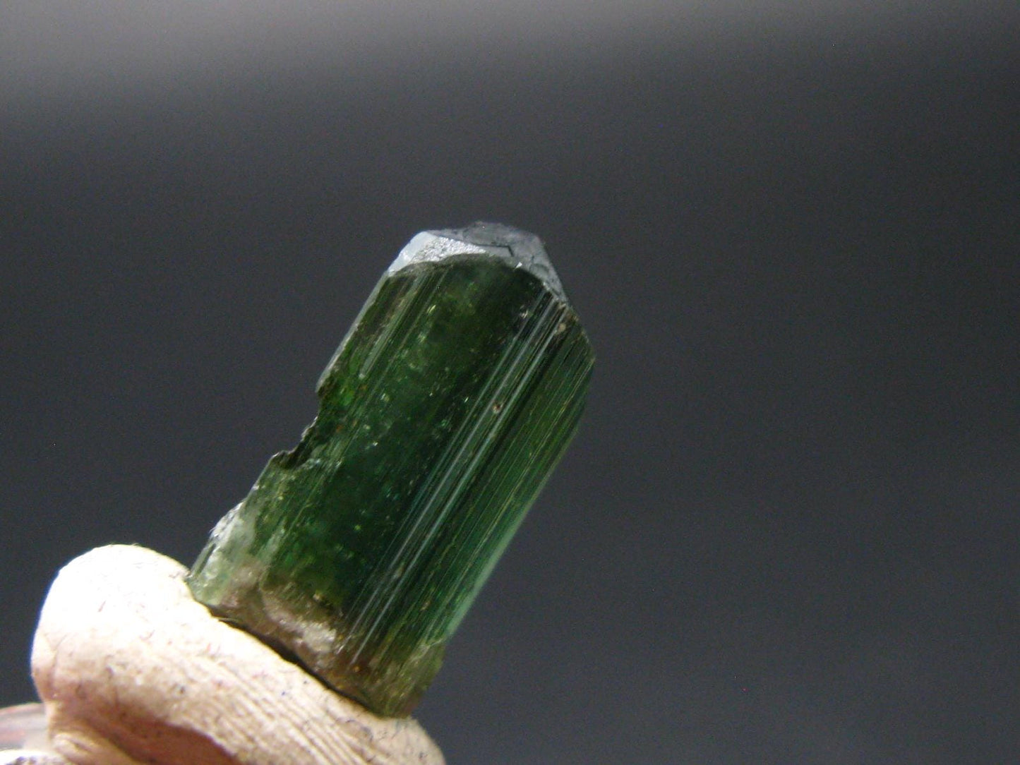 Rare Watermelon Tourmaline Crystal From Brazil - 0.5"