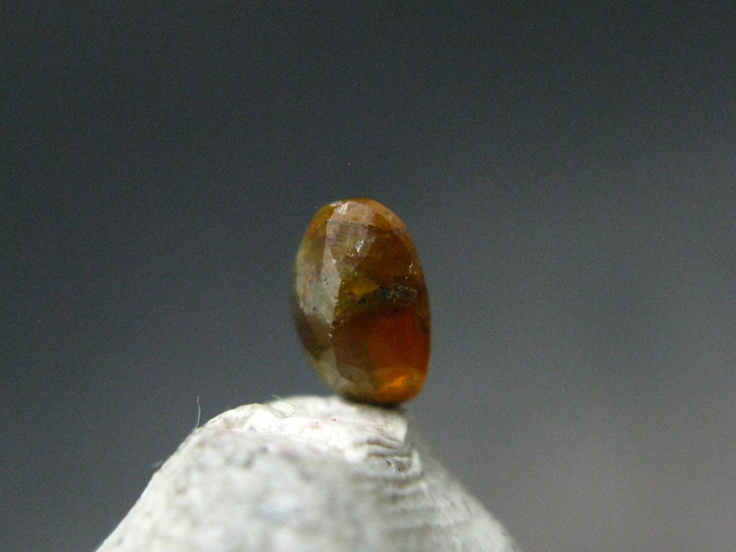 Rare Gem Monazite Cut Stone from Pakistan - 0.34 Carats