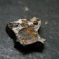 Large Sericho Meteorite Pallasite Olivine Slice From Kenya - 0.5" - 1.13 Grams