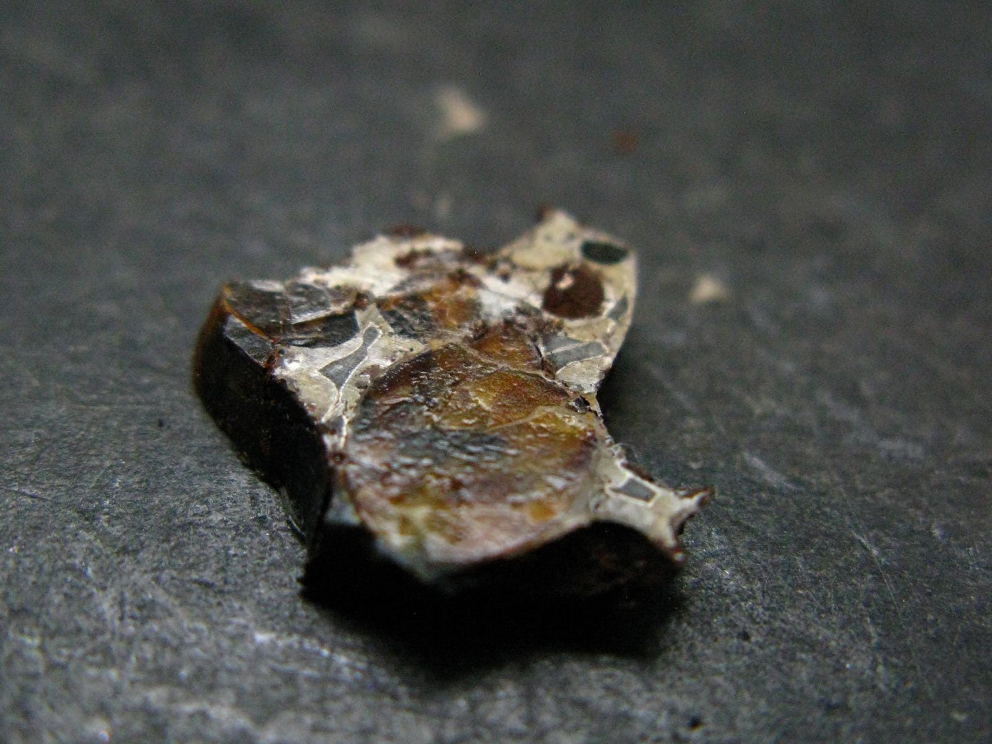 Large Sericho Meteorite Pallasite Olivine Slice From Kenya - 0.5" - 1.13 Grams