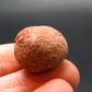Rare Sedonalite Vortex Shaman Stone From Sedona Arizona - 0.8" - 8.38 Grams
