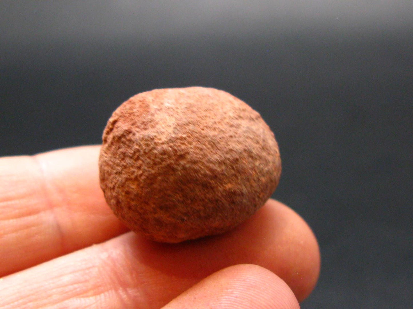 Rare Sedonalite Vortex Shaman Stone From Sedona Arizona - 0.8" - 8.38 Grams