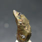 Sperrylite Crystal On Matrix From Russia - 0.6" - 1mm Crystal
