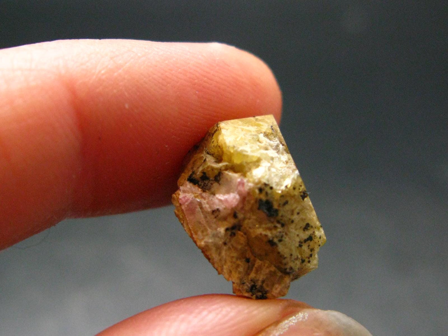 Rhodizite Rhodozite Crystal From Madagascar - 12.65 Carats - 0.3"