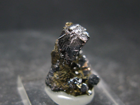 Sperrylite Crystal On Matrix From Russia - 1.3" - Huge 8mm Crystal