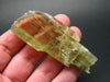 Gem Green Hiddenite Spodumene Crystal From Brazil - 3.2" - 42.1 Grams