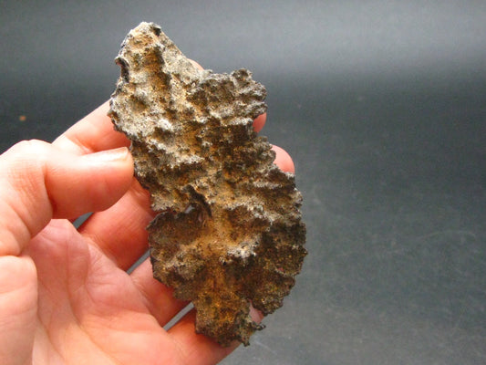 Large Fulgurite Lightning Rock From USA - 3.4" - 15.07 Grams