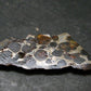 Large Sericho Meteorite Pallasite Olivine Slice From Kenya - 1.8" - 7.0 Grams