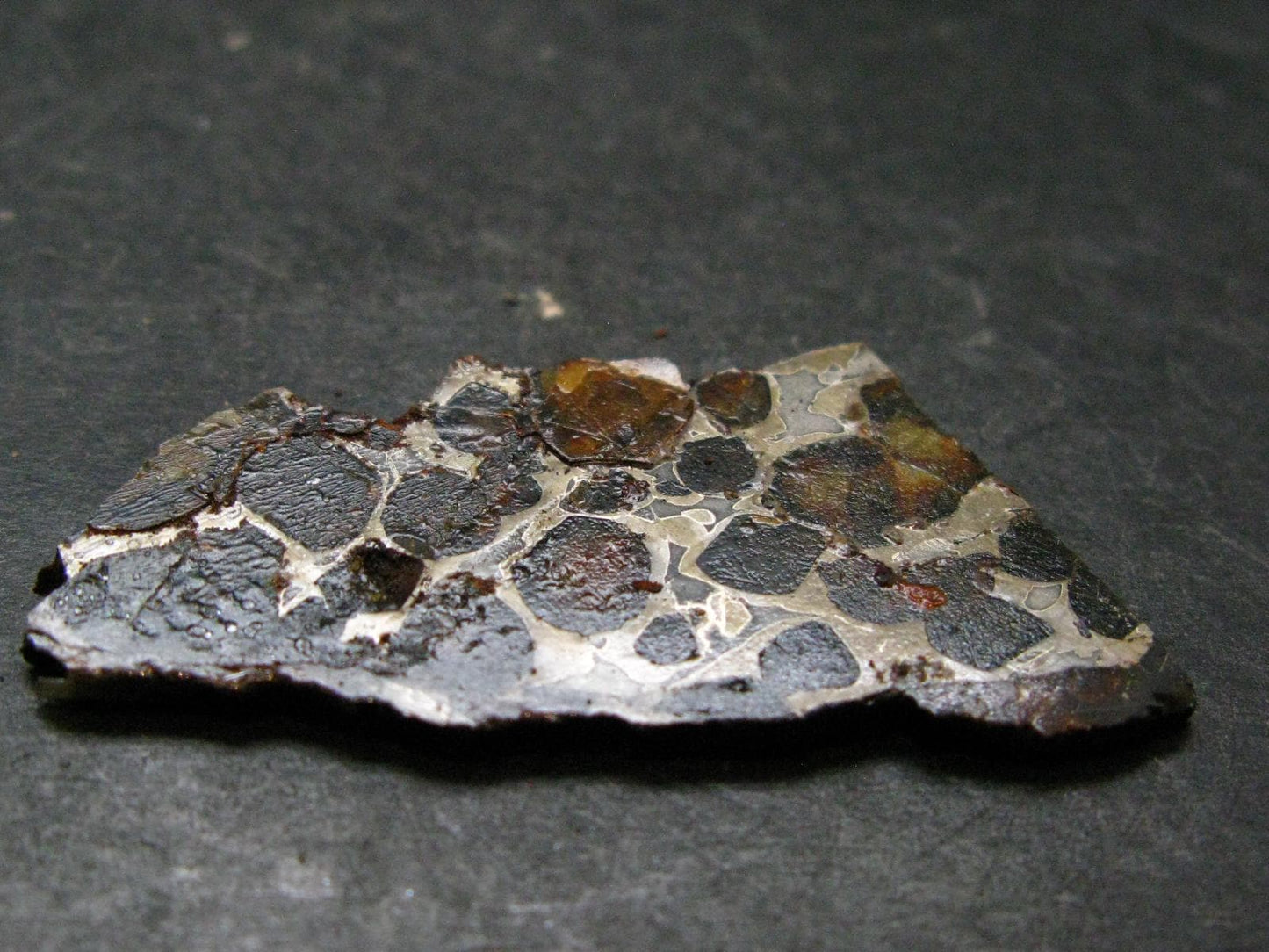 Large Sericho Meteorite Pallasite Olivine Slice From Kenya - 1.8" - 7.0 Grams
