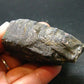 Andalusite Chiastolite Crystal From China - 2.3" - 95.75 Grams