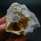 Rare Blue Lace Holly Chalcedony Agate Raw Piece From Malawi - 2.3"