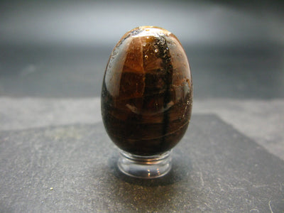 Chiastolite Variety of Andalusite Egg from China - 1.3"