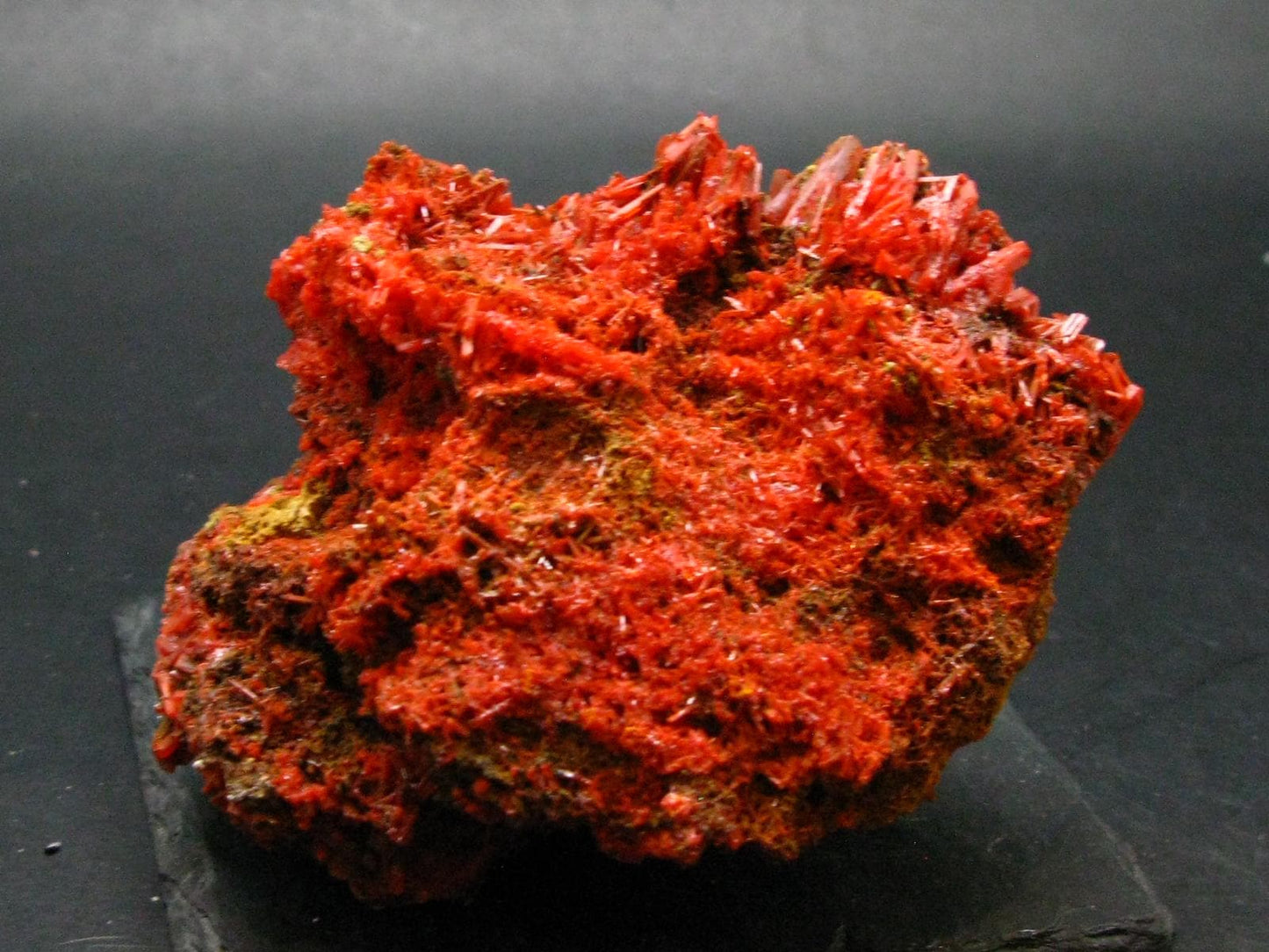 Rare Orange Crocoite Cluster From Australia - 3.7" - 379.03 Grams