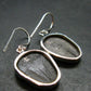Trilobite Silver Earrings from USA - 1.3" - 4.22 Grams
