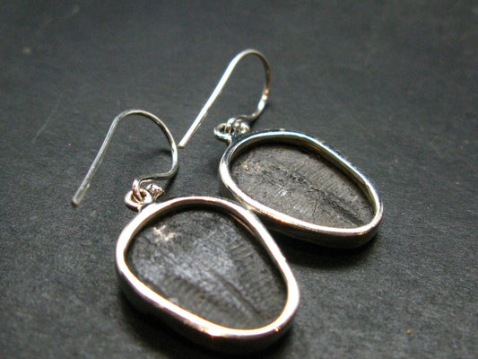 Trilobite Silver Earrings from USA - 1.3" - 4.22 Grams