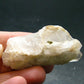 Nice Gem Danburite Crystal From Mexico - 2.2" - 30.25 Grams