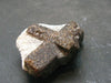 A Perfect Staurolite Crystal on Matrix from Russia - 1.4"