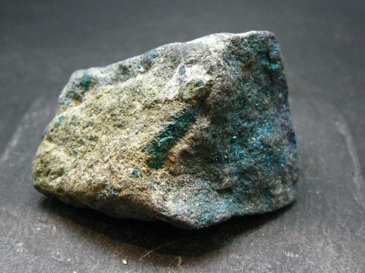 Peacock Ore!! Unusual Natural Raw Chalcopyrite Bornite from Mexico - 2.3" - 150.88 Grams