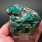 Museum Emerald Beryl Cluster From Russia - 3.1" - 260 Grams