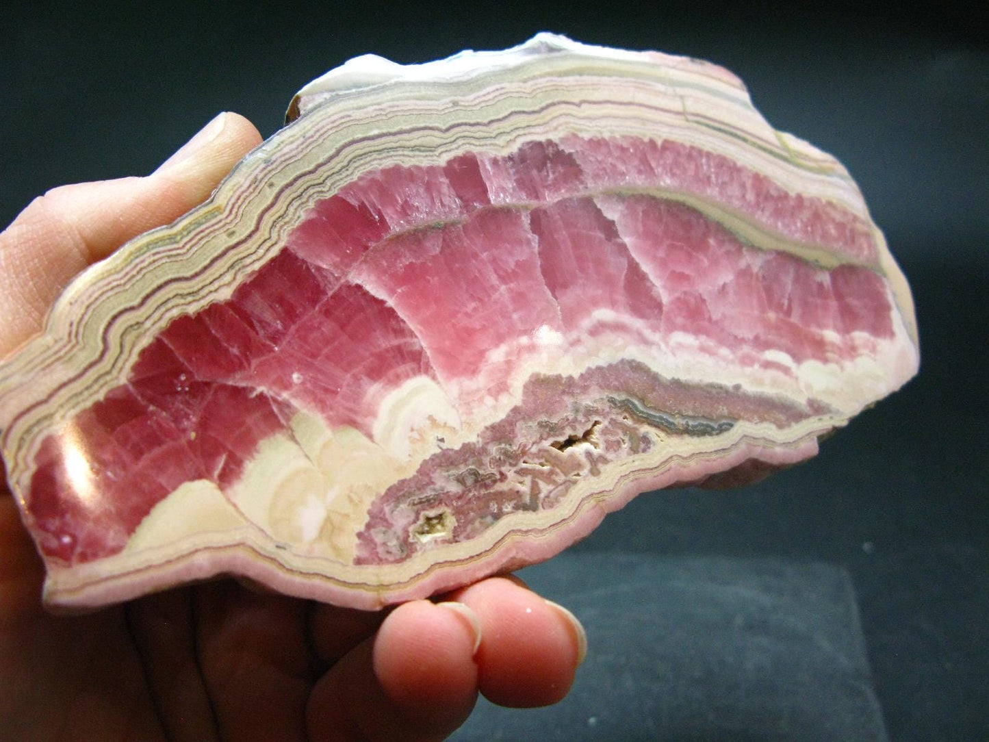 Rhodochrosite Large Slab From Argentina - 4.8"
