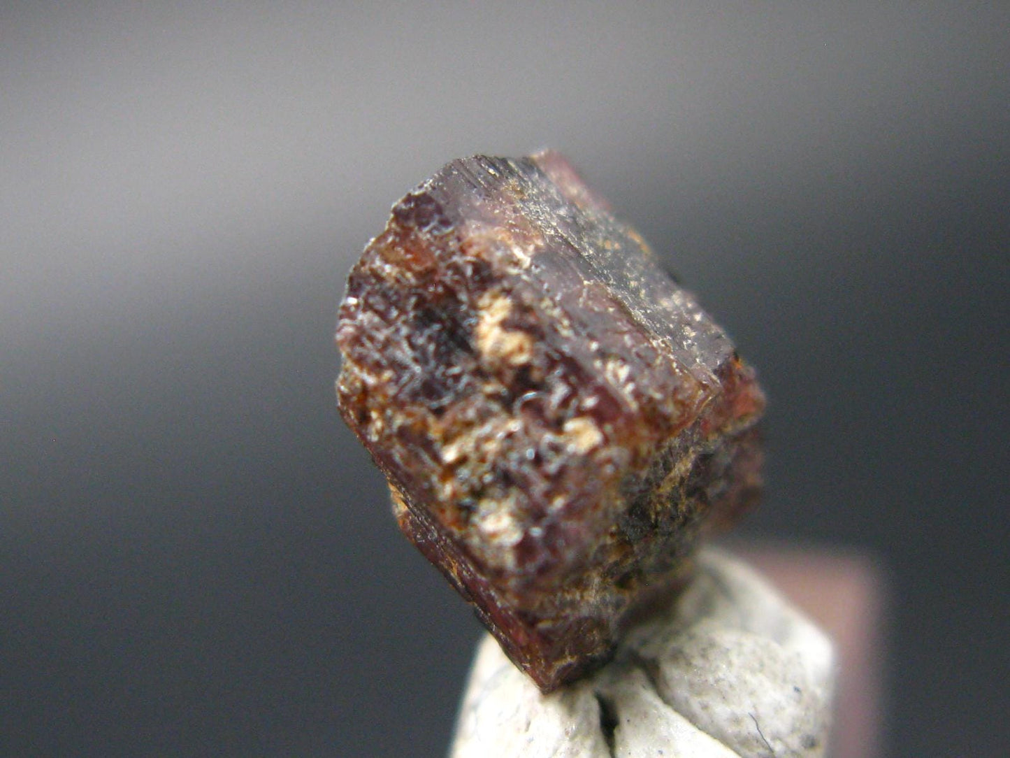 Rare Painite Crystal From Myanmar - 3.11 Carats